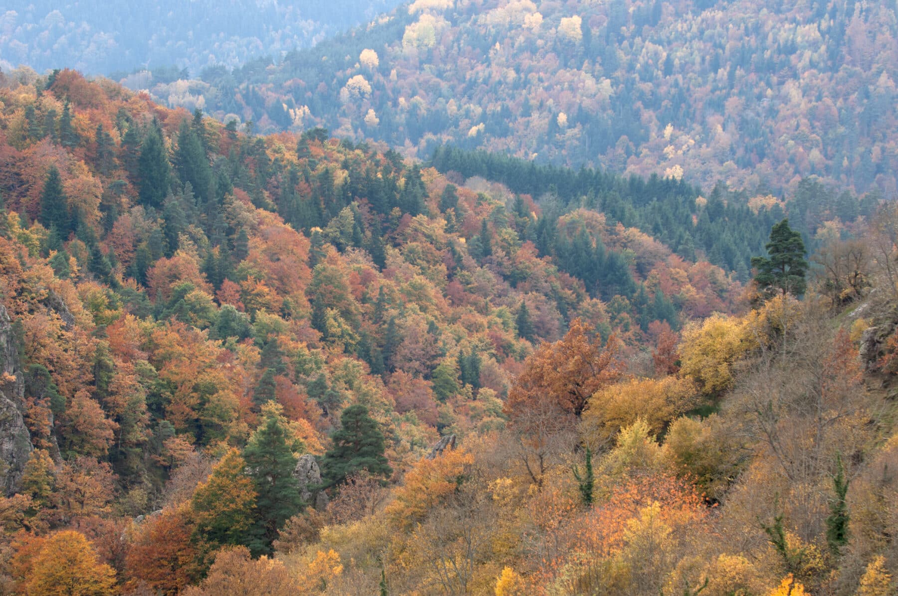 Paysage automne © Stéphane Perera - CBNMC