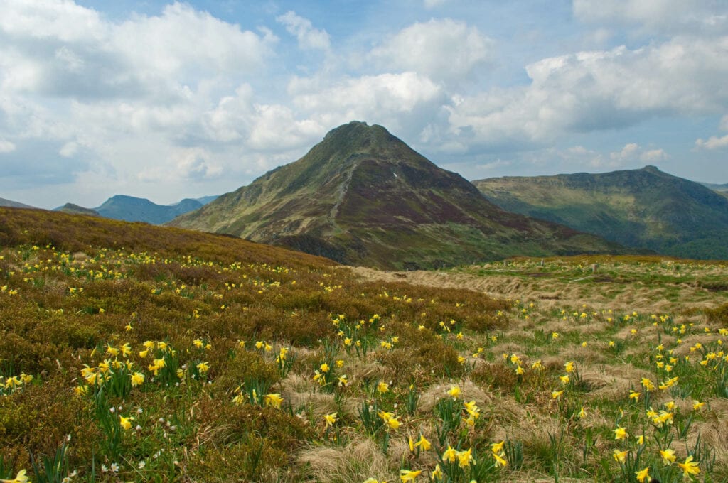 Puy Mary © Stéphane Perera - CBNMC