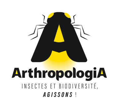 Logo de l'association Arthropologia