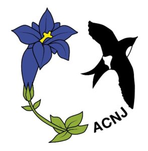 Logo de l'ACNJ