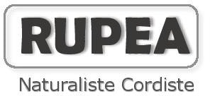 Logo de Rupea