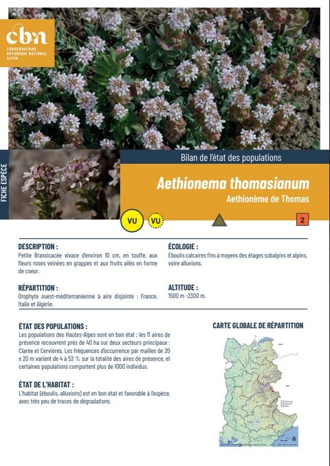 Couverture_fiche_Aethionema_thomasianum