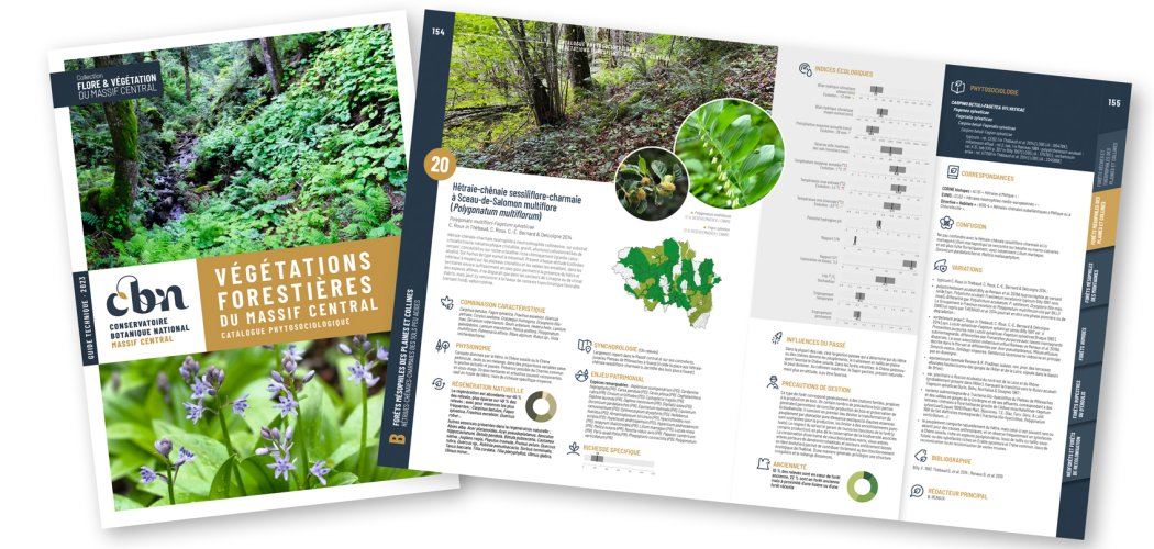 Aperçu du catalogue des végétations forestières du CBN du Massif central