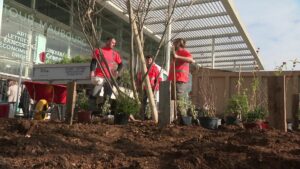 Université de Valence : le béton laisse place aux végétaux - Crédit photo : G.Chaine FTV 2024 (Drôme)