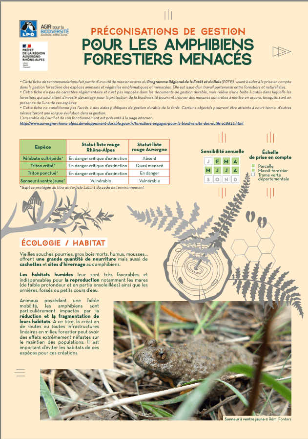 Couverture_fiche-amphibiens