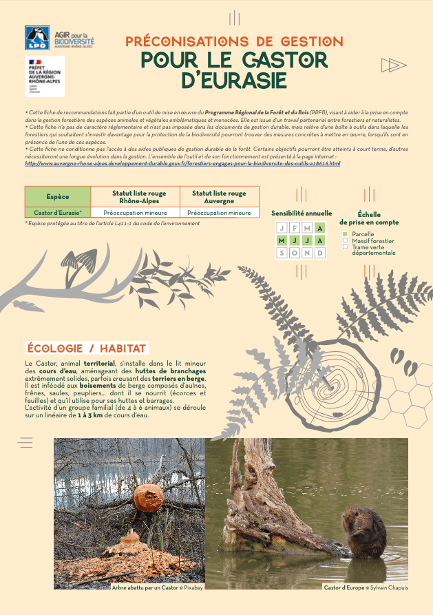 Couverture_fiche-castor