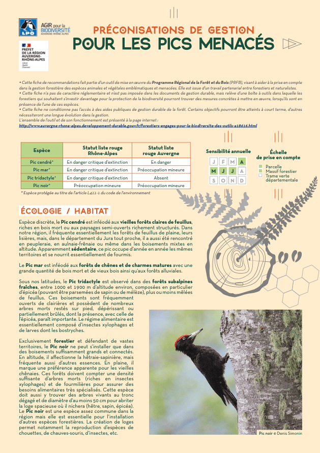 Couverture_fiche-pics