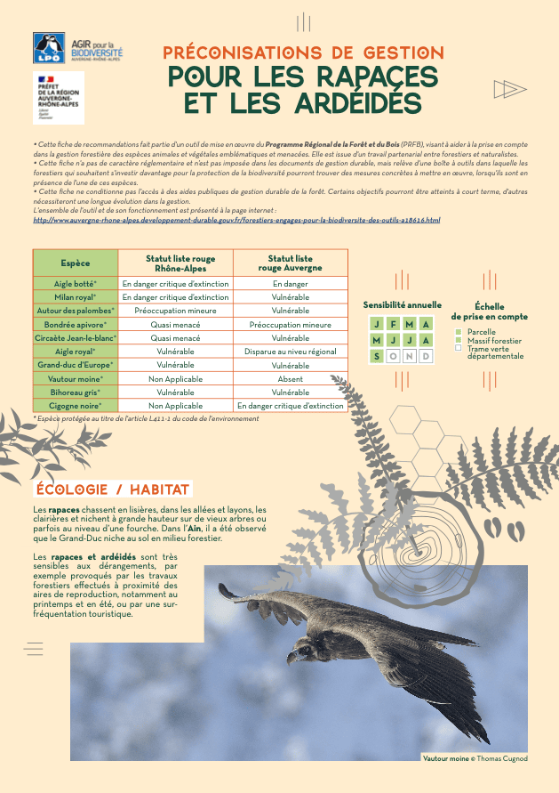 Couverture_fiche-rapaces-ardeides