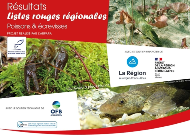 Vignette Liste Rouge Régionale des poissons et écrevisses d'Auvergne-Rhône-Alpes