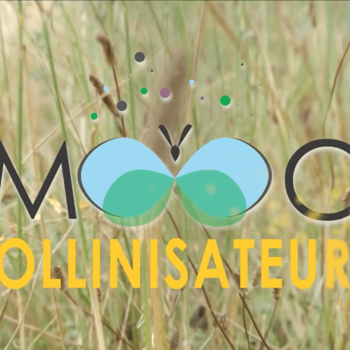Illustration du générique du cours en ligne "Mooc pollinistateurs"