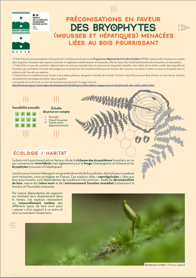 Couverture de la fiche de préconisations de gestion des forêts en faveur des bryophytes