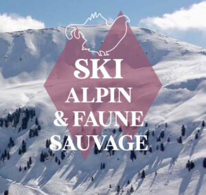 Couverture du guide biodiv'sports ski alpin
