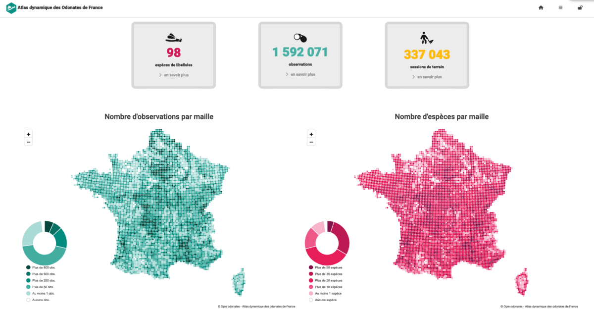 Capture d'écran de l'atlas dynamique des Odonates de France (OPIE)