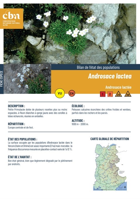 Couverture_fiche_Androsace_lactea