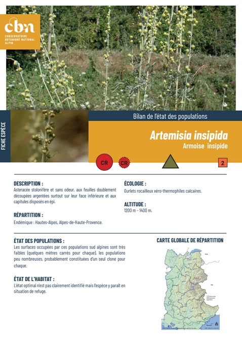 Couverture_fiche_Artemisia_insipida