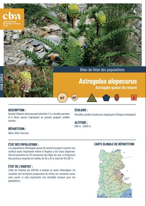Couverture_fiche_Astragalus_alopecurus