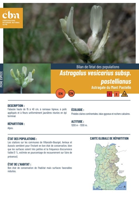 Couverture_fiche_Astragalus_vesicarius_subsp_pastellianus