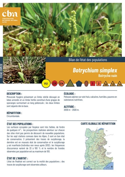 Couverture_fiche_Botrychium_simplex