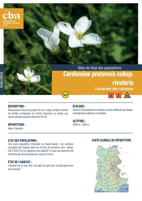 Couverture_fiche_Cardamine_pratensis_subsp_rivularis