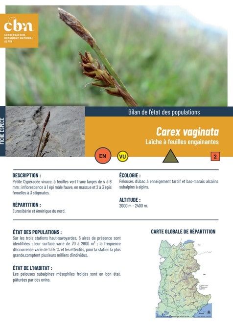 Couverture_fiche_Carex_vaginata