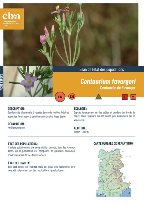 Couverture_fiche_Centaurium_favargeri