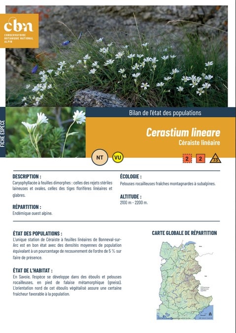 Couverture_fiche_Cerastium_lineare