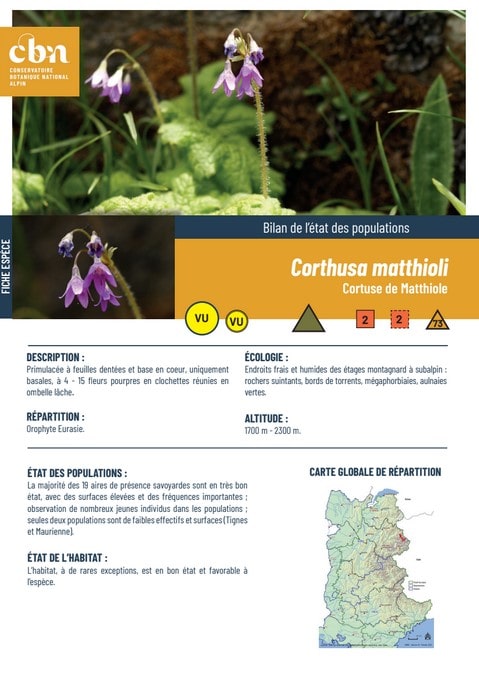 Couverture_fiche_Corthusa_matthioli