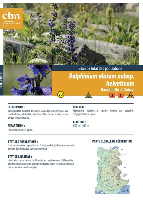 Couverture_fiche_Delphinium_elatum_subsp_helveticum