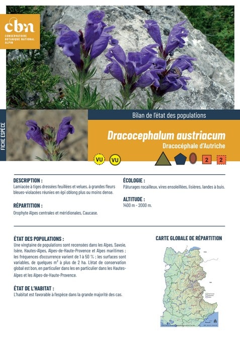 Couverture_fiche_Dracocephalum_austriacum