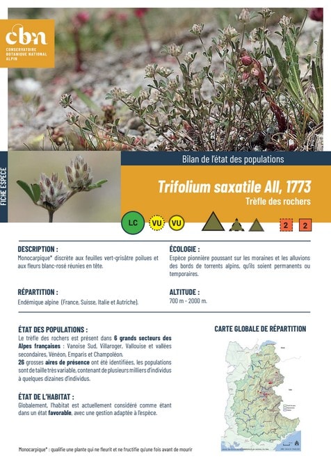 Couverture_fiche_Trifolium_saxatile