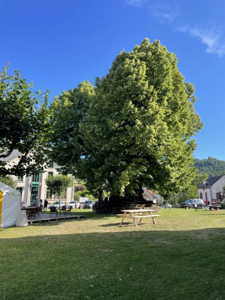 arbre