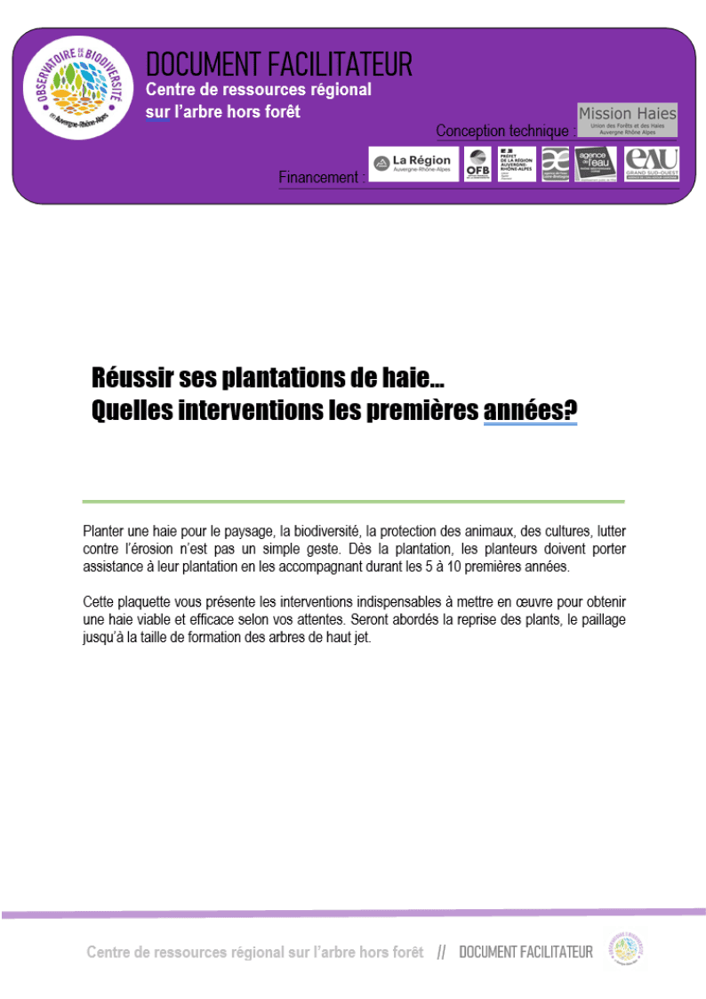 entretien d'une jeune haie, taille de formation, paillage, protections gibiers, clôture