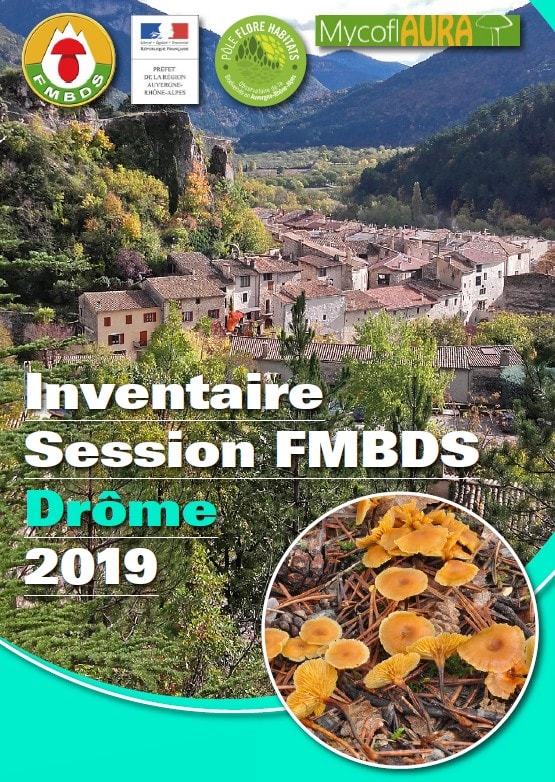Session_FMBDS_Drome_2019