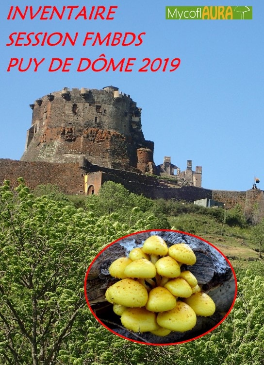 Session_FMBDS_Puy-de-Dome_2019