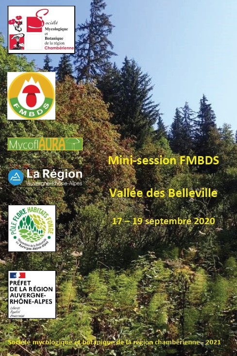 Session_FMBDS_Vallee-des-Belleville_2020