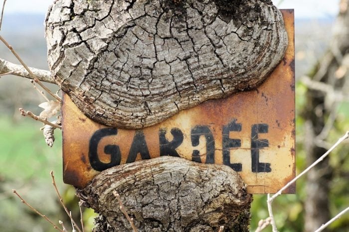 Un panneau chasse gardée absorbé par le tronc d'un Quercus pubescens Willd, photo par Liliane Pessotto, CC BY-SA 2