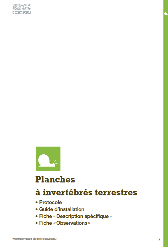photo_invertebres