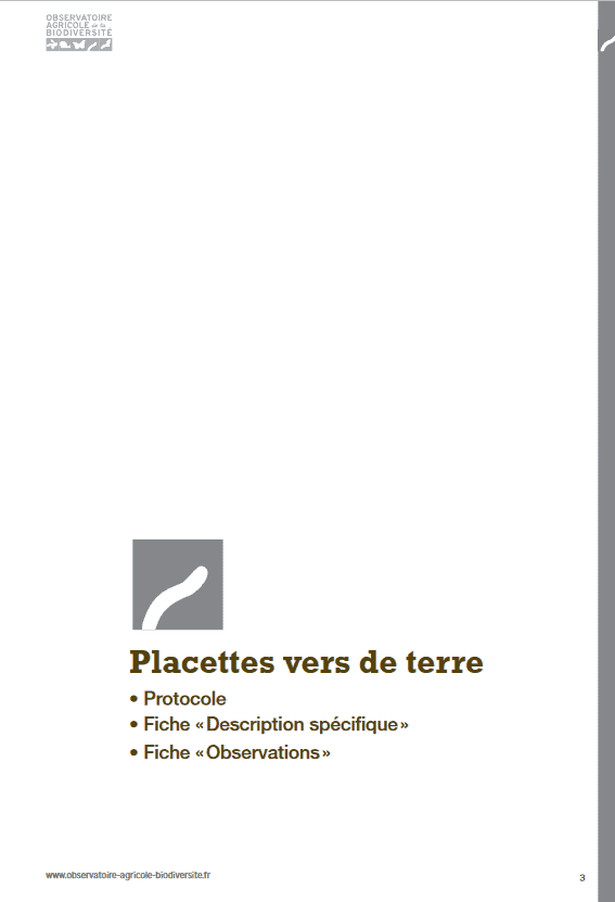 photo_vers_de_terre