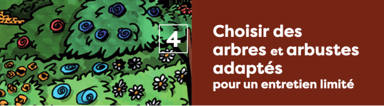 Fiche_4_choix_arbres-arbustes_et_imprim_A3