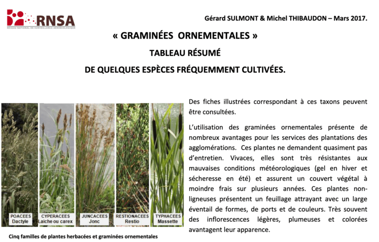 Allergies et graminees_ornementales