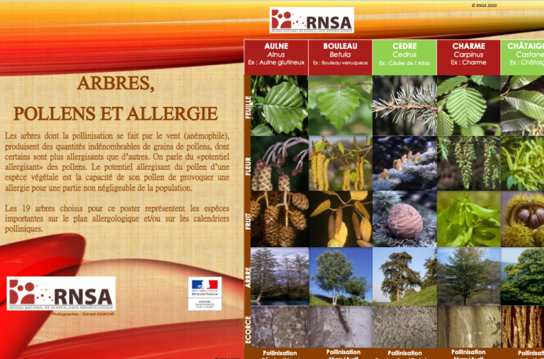 poster arbres et allergies