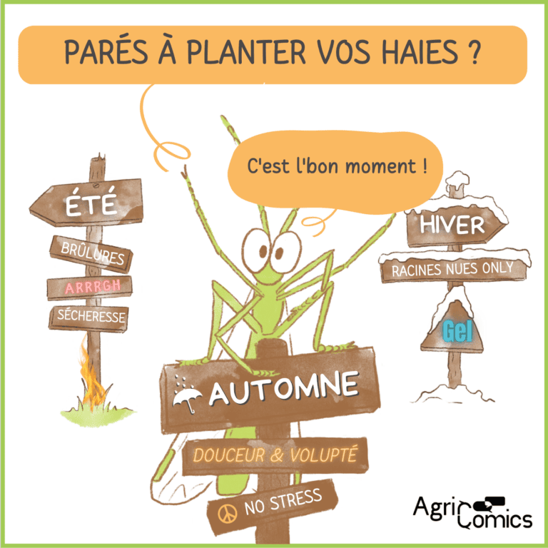 Agricomics - Décembre 2022 - Plantation