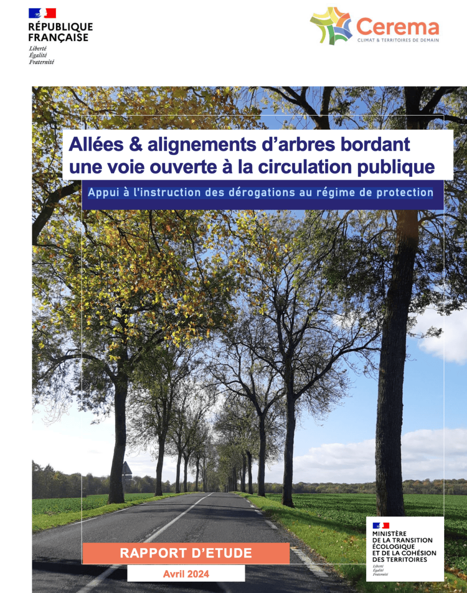 allée d'arbres en bordure de routes - aide à l'instruction des dossier - Arbres - Appui à l'instruction des dérogations au régime de protections
