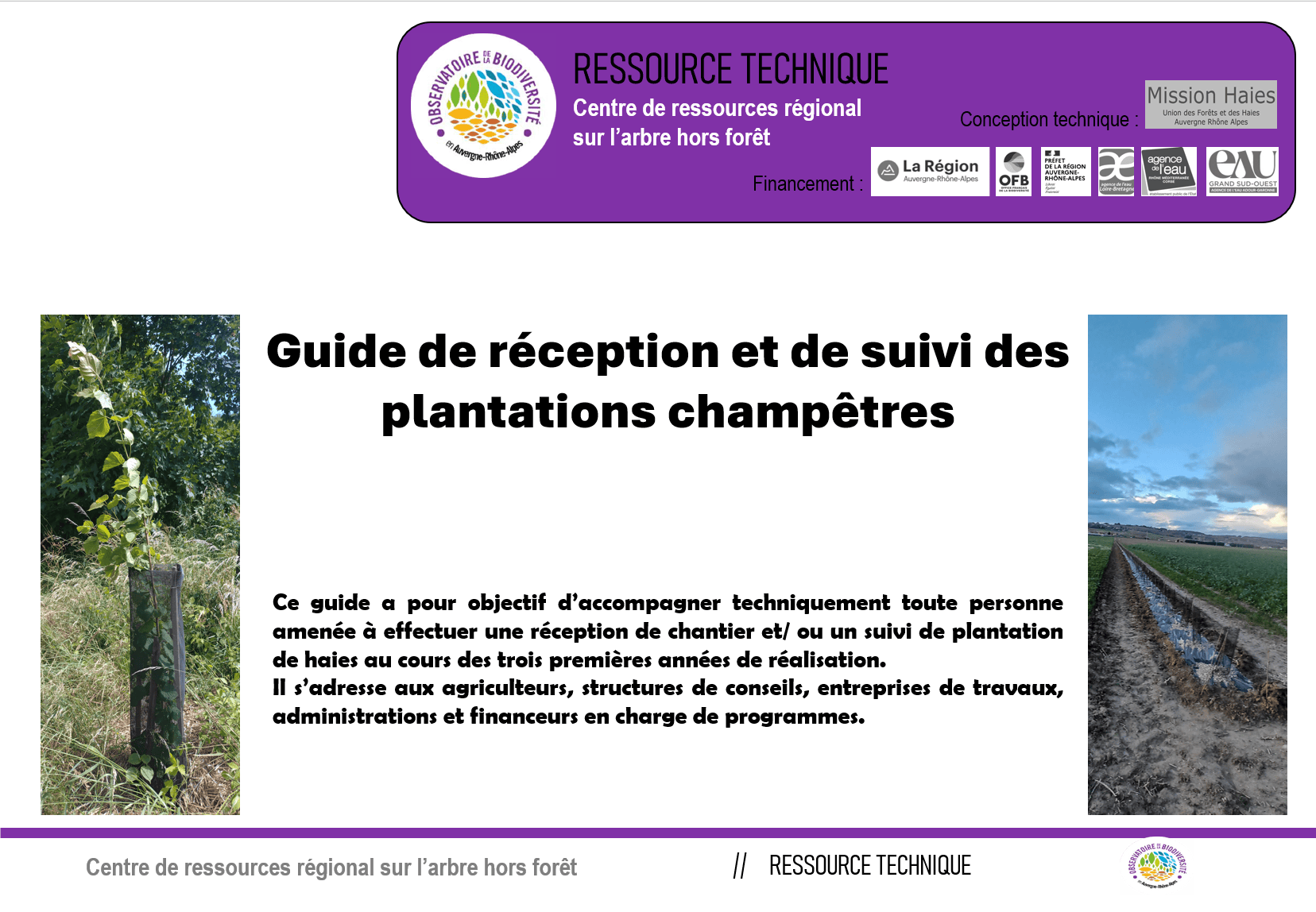 Guide de réception et de suivi des plantations champêtres