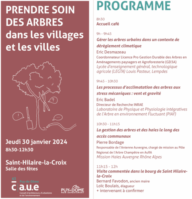 PRENDRE SOIN DES ARBRES - Conseil Architecture Urbanisme Environnement Puy-de-Dôme (CAUE63)