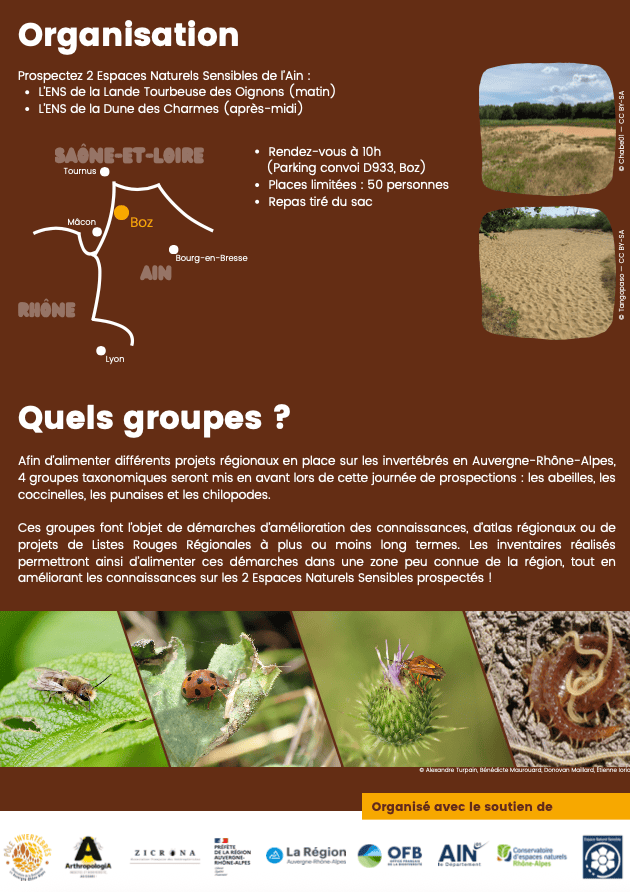 Flyer de la Journée des Entomologistes 2025 organisée dans l'Ain - Verso