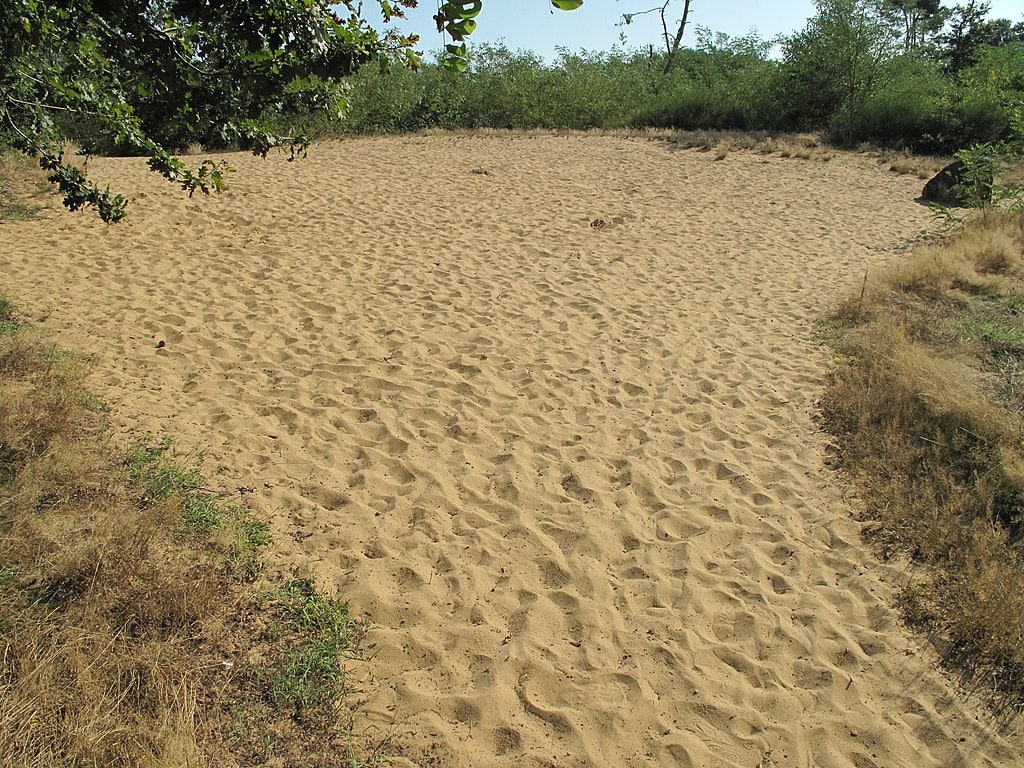 Photo de l'ENS de la Dune des Charmes (Ain) - © Tangopaso - Wikipédia
