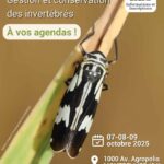 Affiche du colloque gestion et conservation des invertébrés (Montpellier 2025)