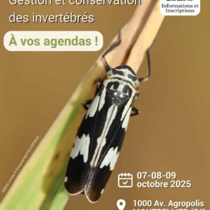 Affiche du colloque gestion et conservation des invertébrés (Montpellier 2025)
