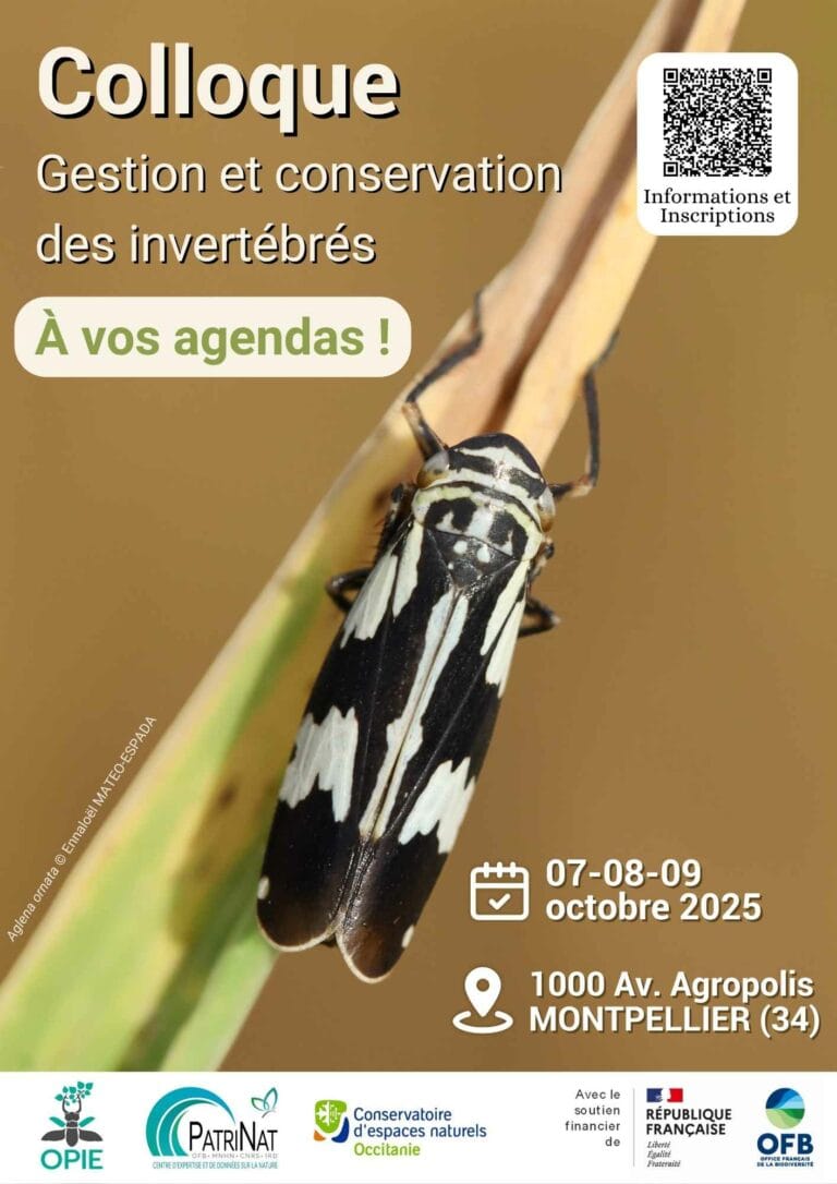 Affiche du colloque gestion et conservation des invertébrés (Montpellier 2025)